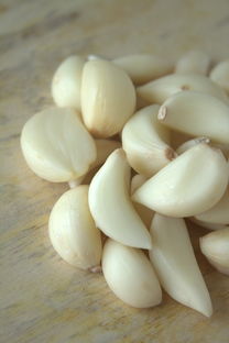 孕妇能吃马齿苋和薏米吗？